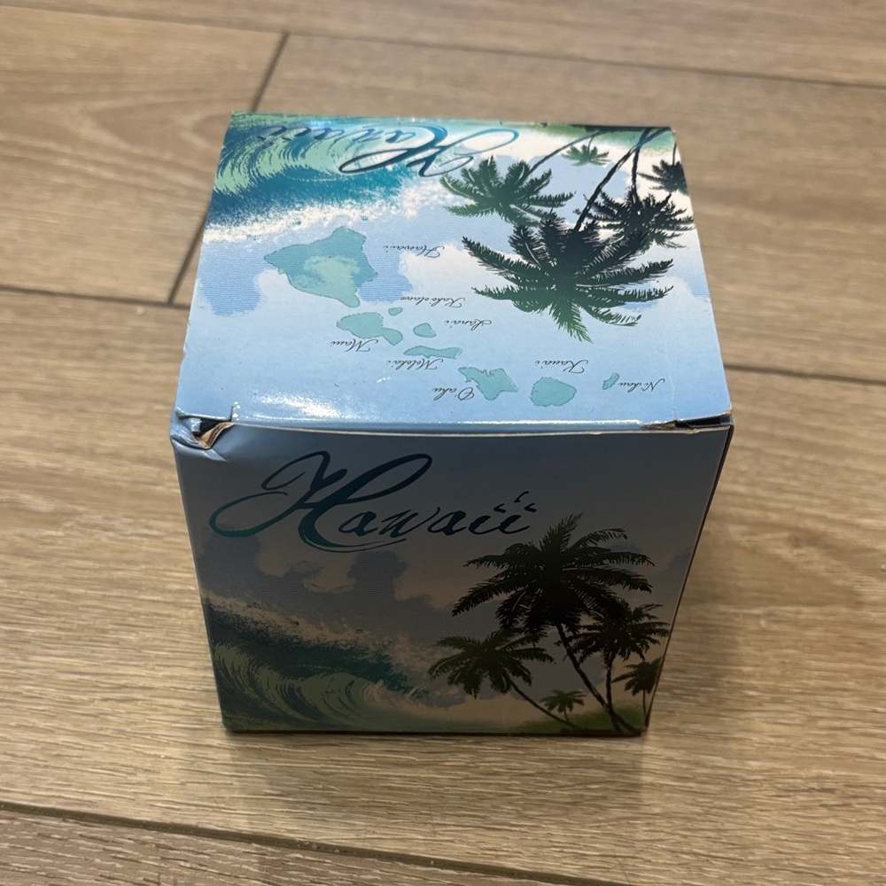 Hawaii mug